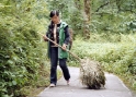 Emeishan, Sichuan China 11